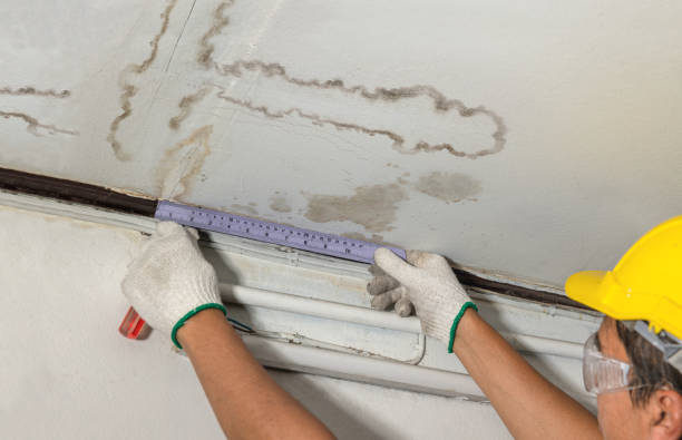 Reliable Sewage Cleanup contractor in Hampton, VA by Water Damage Irwin